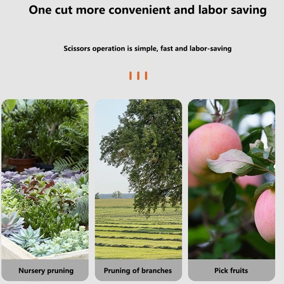 Sharp Pruning Shears Pruners Grape Scissors Professional Garden Scissors  Elbow - Image 4 of 4