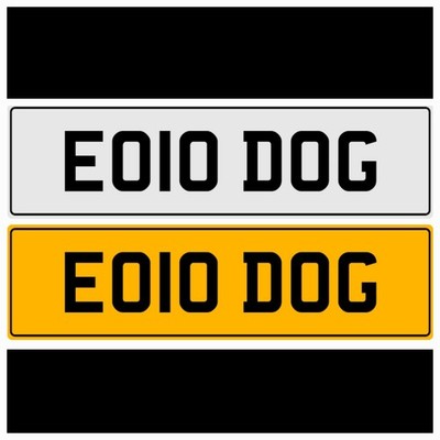 DOG   DOGS PUP WOOF MUT DG LAB NUMBER THEME PRIVATE REGISTRATION PLATE EO10 DOG