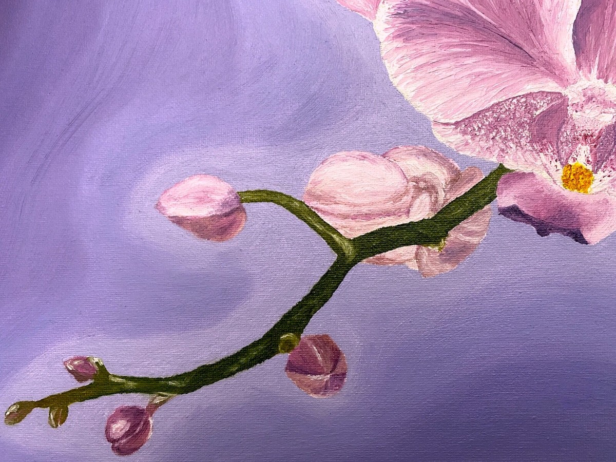 Orchid GALLERY MADE IN KOREA 絵画　アート　壁掛け Orchid Oil Painting Original Canvas Pink Purple Flowers Wall Art