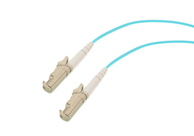 Multimode Simplex 10 GB Gigabit 50/125 E2000 Fiber Optic Cable Cord 30M Network