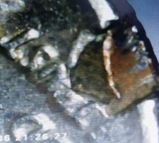 1967 Roosevelt Dime- Defective Planchet Or Clip Error?