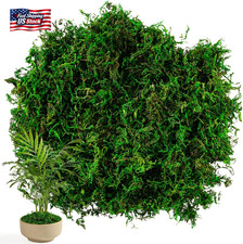 Sukh Faux Moss for Potted Plants - Artificial Moss for Crafts Fake Moss Decor Gr