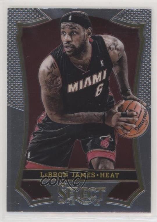 2013-14 Panini Select LeBron James #24 7k1