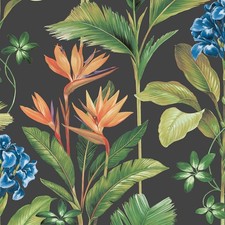 Papier Peint Floral Palmier Oliana Tropical Belgravia Gris Foncé 8484