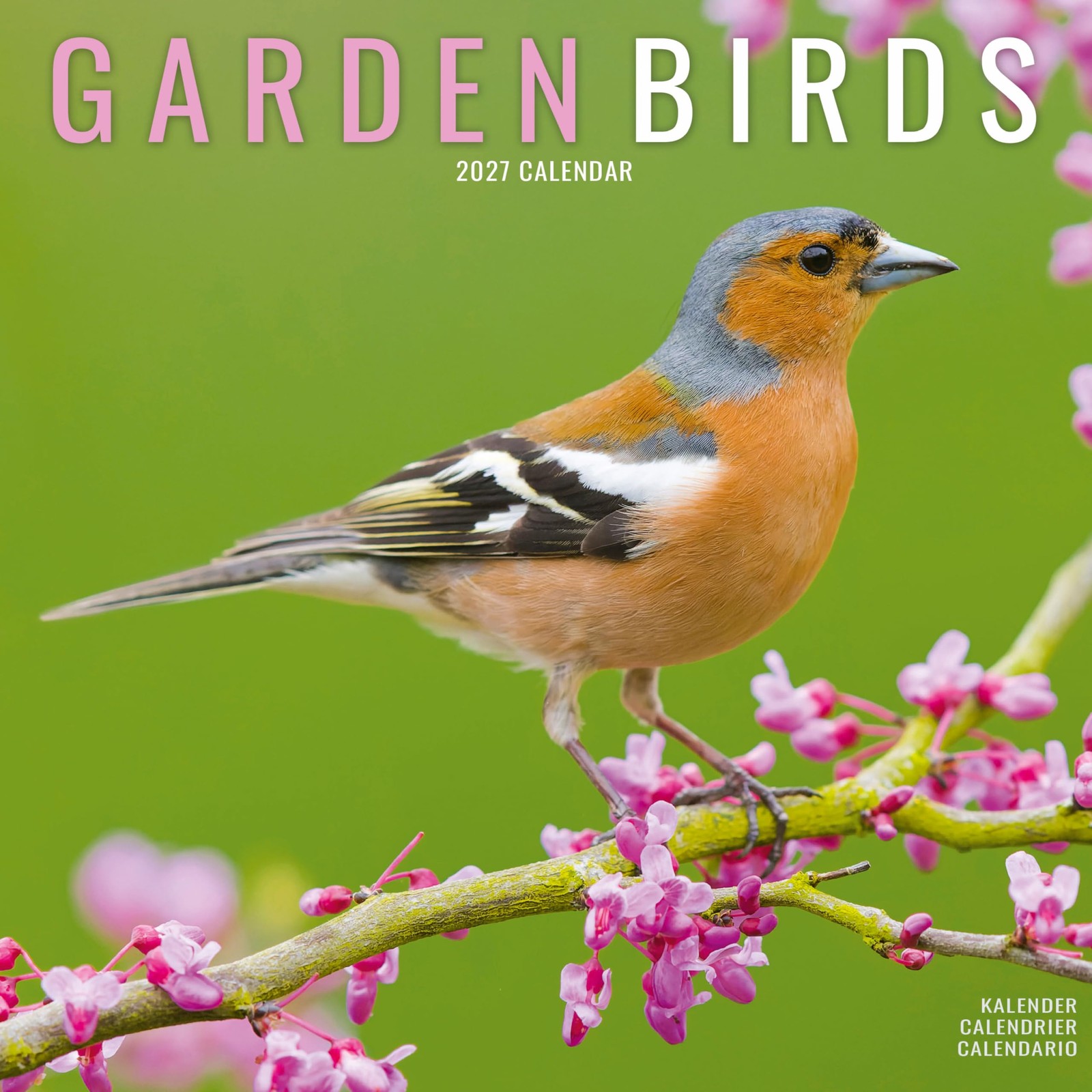 Garden Birds Calendar 2027, Wall Calendars, Month To View, Animals, Gift - Image 3