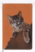 Single Vintage ID Named Cats, "Cat", Playing Card CA 8-5 A