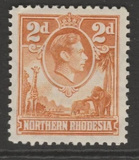 Northern Rhodesia GVI 1938-52 MINT 2d yellow-brown sg31