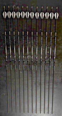 Altra Arrows Centrum Limited Two Zero Four 300 Spine Fletched Arrows 12 Pack New