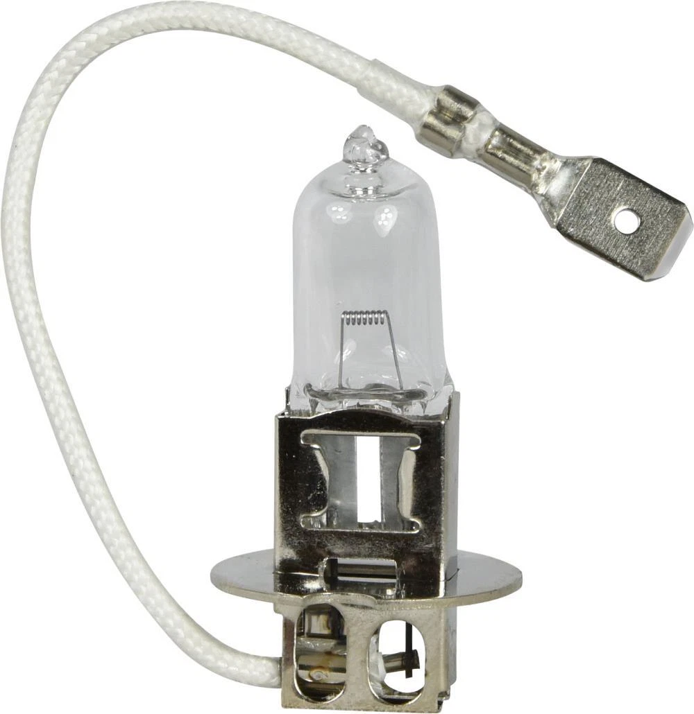 6v 55w clearance halogen bulb