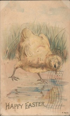 Easter Chicks Happy Chick Drinking from Puddle Illustration Rotograph 1907