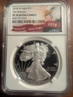 2018-W American Silver Eagle Proof — photo from another recent sale