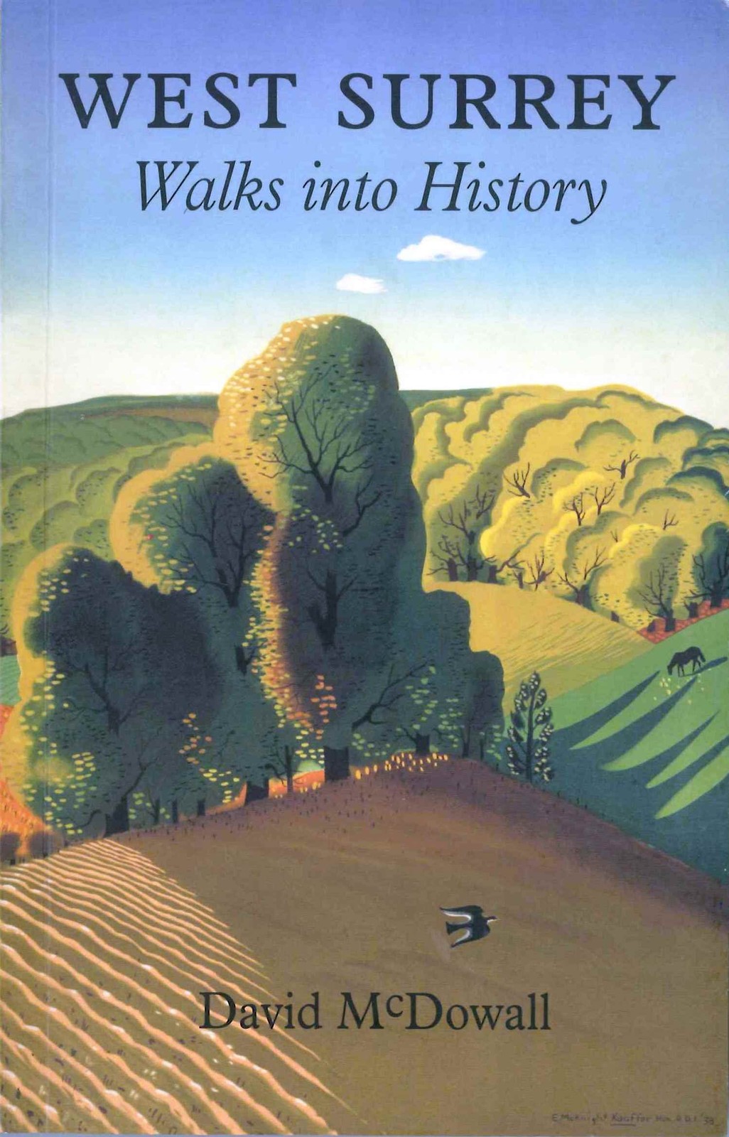 West Surrey: Walks into History by David McDowall NEW - Image 2