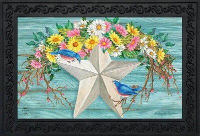 Briarwood Lane Spring Barnstar Primitive Doormat