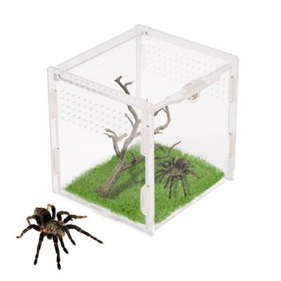 Acrylic Jumping Spider Enclosure Reptile Terrarium Habitat 3.7x3.5x3.5 Inch