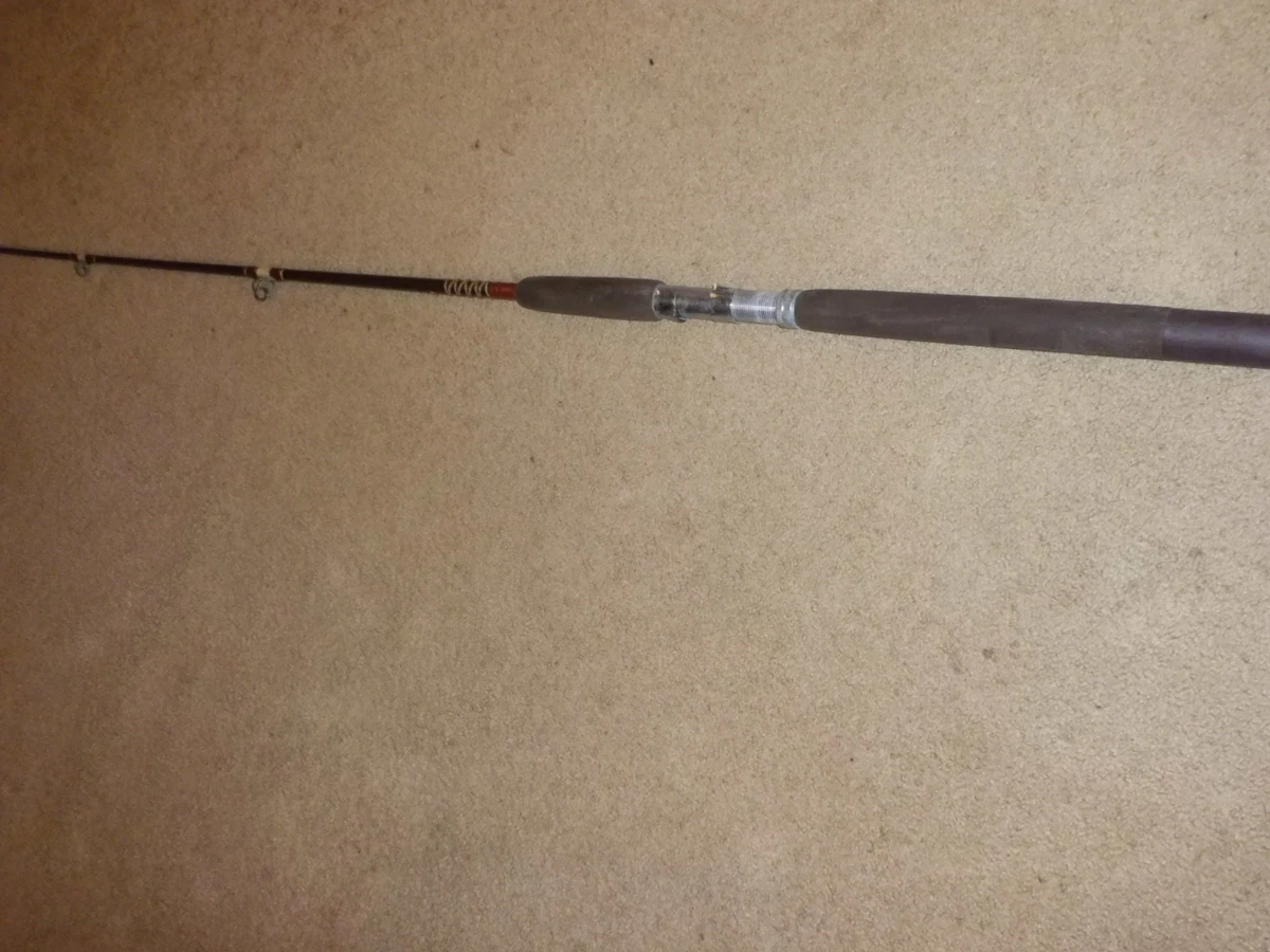 Fenwick Saltwater Fishing Rods & Poles 1 Pieces for sale | eBay
