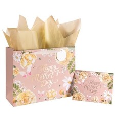 Mother's Day Gift Bag with Tissue Paper and Greeting Card 13"x10"x5", Medium