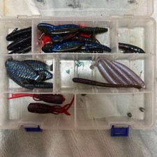 Bass Fishing Worm Set, Assorted Colors, Soft Plastic, Storage Case