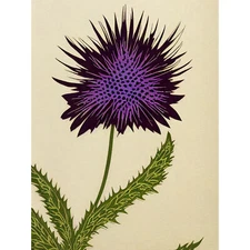 Stylized Purple Scottish Thistle Flower Huge Wall Art Poster Print Giant