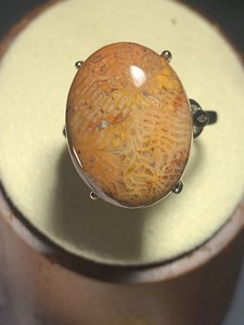 Natural Silicified Coral Fossil Flower Agate Ring/ Adjustable /