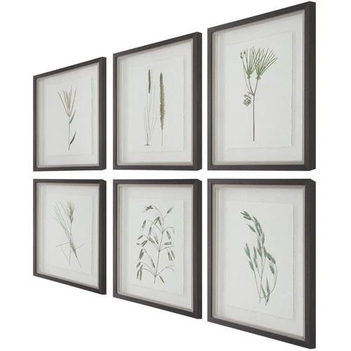 Uttermost 41459 Forest Finds 22 X 18 inch Framed Prints, Set of 6 - Picture 6 of 9