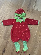 Baby Girl Strawberry Costume 6-9 Months