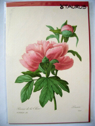 P.J. REDOUTÉ *double card * flowers * peony * drawing * - Picture 1 of 1