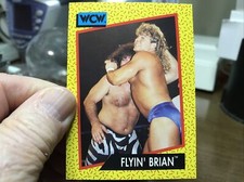 WCW WORLD CHAMPIONSHIP WRESTLING  1991 TRADING CARD #  60 FLYIN’BRIAN