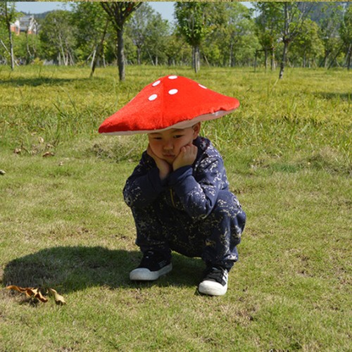 1Pc Mushroom Hat Toad Hat Lovely Red 