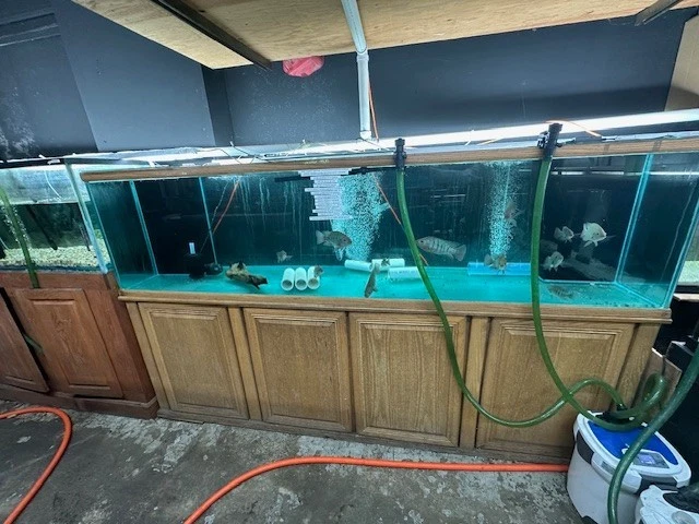 240 GALLONS FISH TANK AQUARIUM, SUMP, PLUMBING AND STAND - Image 2 of 3