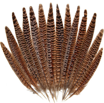 20Pcs Female Pheasant Feather Natural Ringneck Tails Feathers 6-8Inch 15-20Cm fo