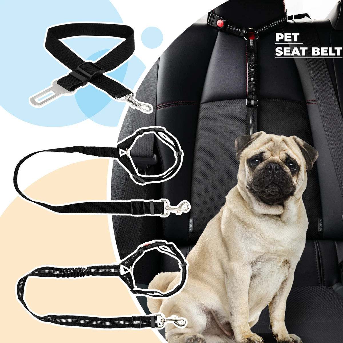 Dog leash for car seat sales