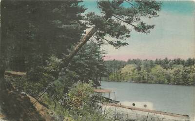 Maine, ME, East Sebago, Leaning Pine, North West River 1939 Postcard