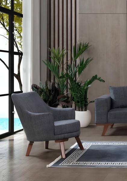 Wohnzimmer Sessel Moderner Einsitzer Design MöBel Grauer Einsitzer Stuhl Polster-image