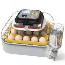 MATICOOPX 20 Egg Incubator with 20 chicken egg capacity, gray / yellow