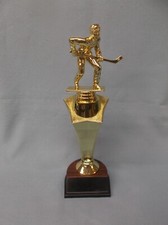 street ball hockey star riser gold trophy award weighted base