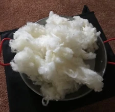 3 oz. Raw East Fresian Carded Wool