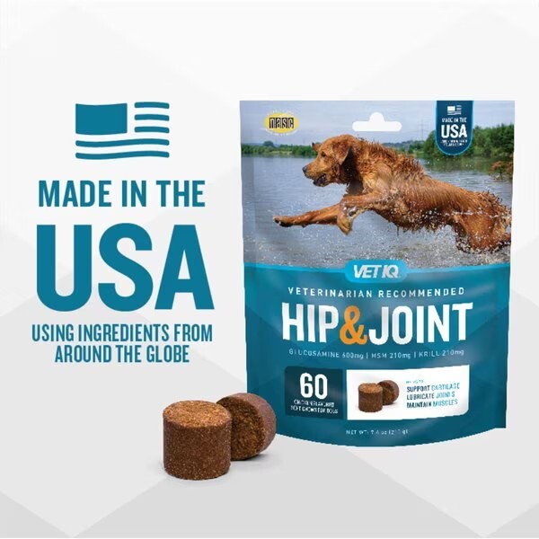 VetIQ Maximum Strength Hip & Joint Chews Supplement for Dogs 180 ct eBay