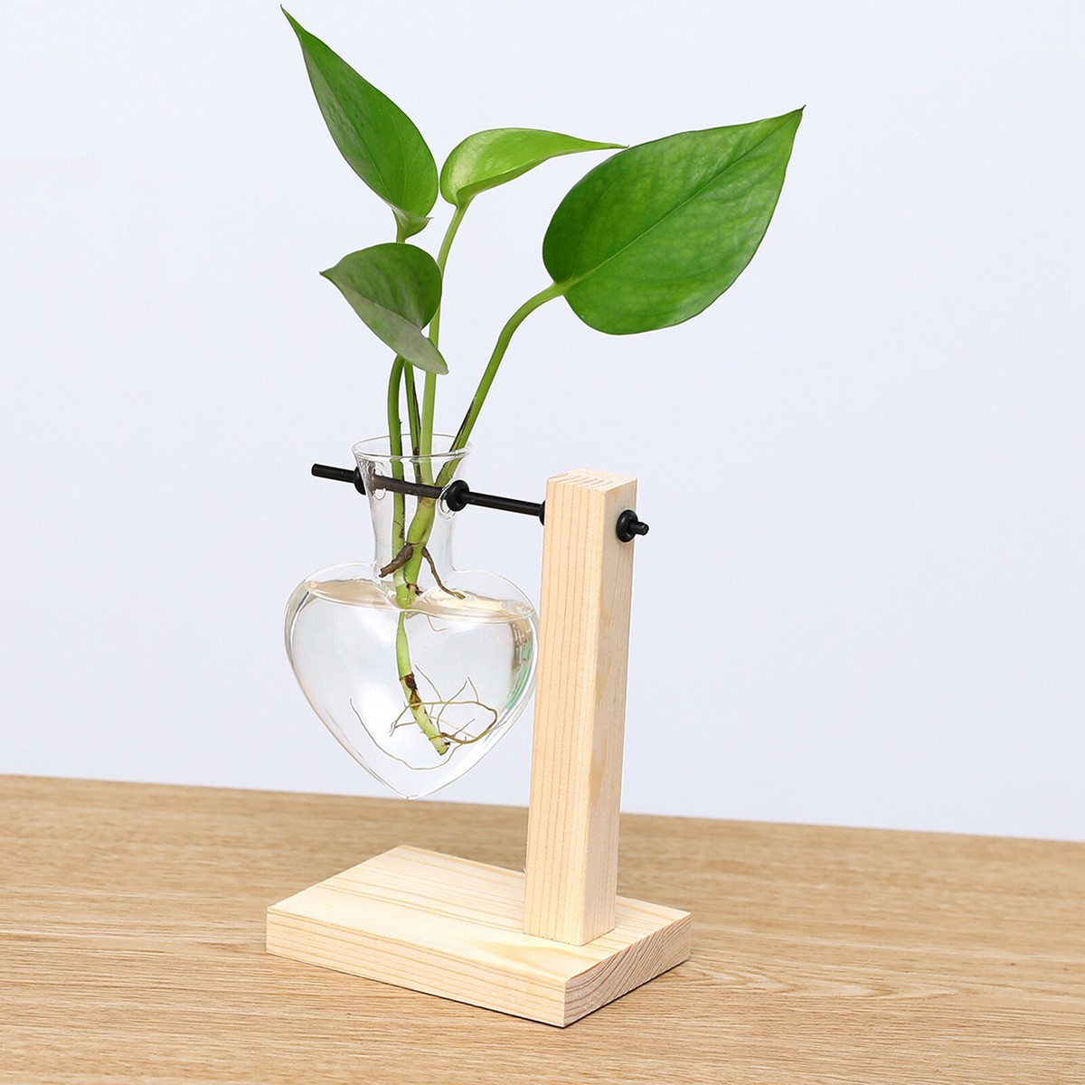 4x Wandbehang Glas-Pflanzenständer – Eierschalen-Vasen Mit Holzständer, Für Sukkulenten & Wasserpflanzen, 28 Cm