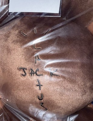 Takashi Murakami Cactus Jack Travis Scott Flower Cushion Pillow