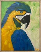 parrot  Painting 11x14 canvas unique  bird ROWAN FINCH ART Blue Green
