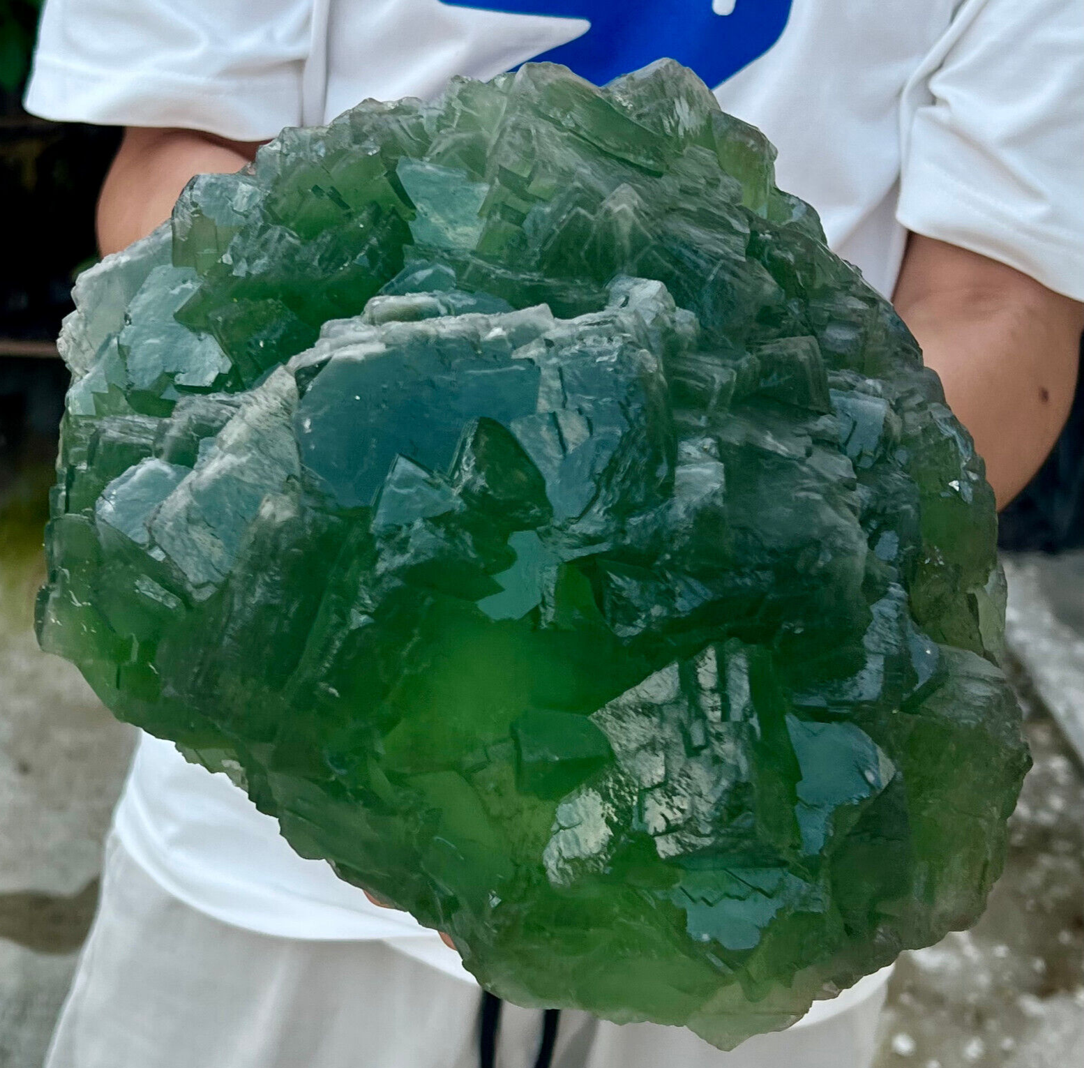 25LB Rare crystal specimen of transparent green cube fluorite