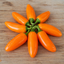 40 Rare NuMex Orange Spice Jalape o Pepper Seeds - True HOT Orange Jalape o