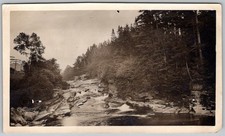Vtg B&W Snapshot Forest River Waterfall Rocky Stream Landscape Pine Trees 1920s