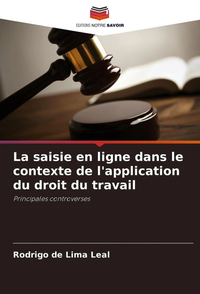 Rodrigo De Lima Leal | La Saisie En Ligne Dans Le Contexte De L'application...-image