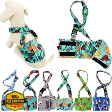 FUNNYDOGCLOTHES diaper teal dinosaur m