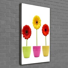 Tulup Canvas Print Wall Art 60x120 - Colorful gerberas
