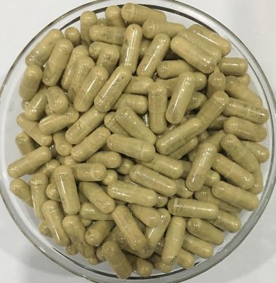 Hoodia Gordonii 20:1 Extract Capsules Suppresses Appetiie Pure & High Quality
