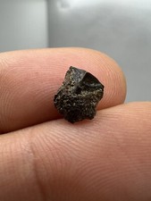 Nice Hadrosaur Tooth Dinosaur Dinosaure Dent Fossile Fossile Fossili Dino