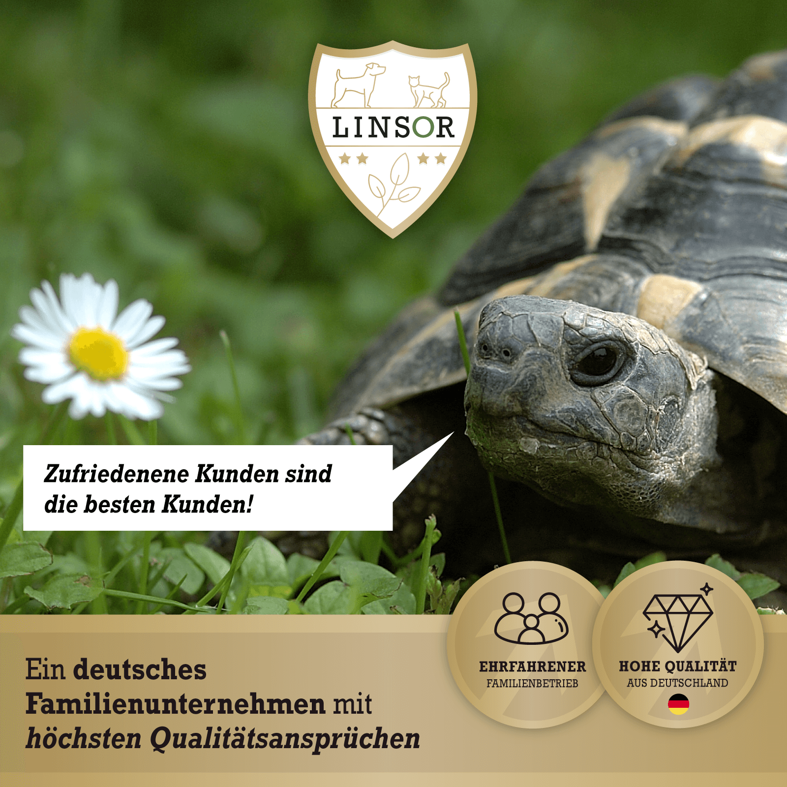 Bild 2 von 12