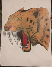 Saber Tooth Tiger Saber-Toothed Cat Head Colored Tattoo Flash Art Drawing